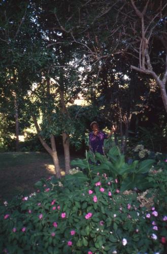 Emily DeCosta behind flower bushes